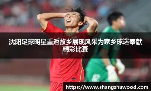 沈阳足球明星重返故乡展现风采为家乡球迷奉献精彩比赛